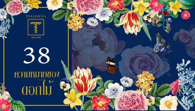 38 ความหมายของดอกไม้ - THANIYA1988