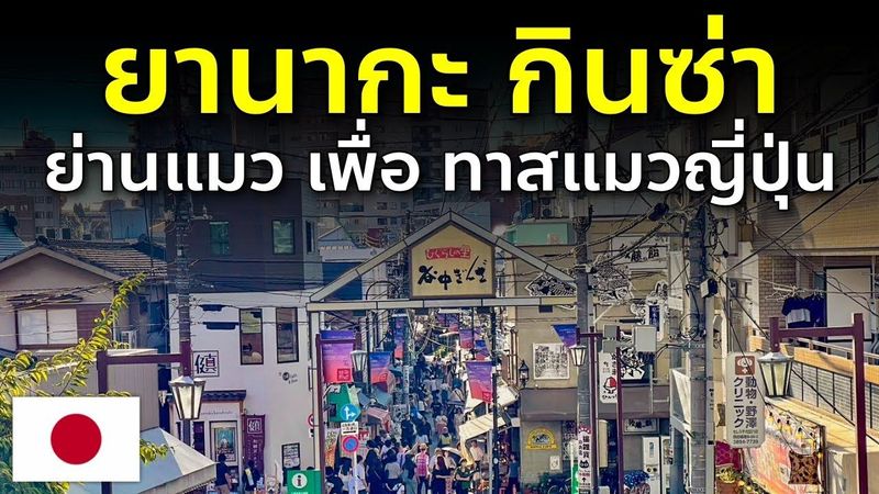อัพเดท ยานากะ กินซ่า ย่านแมว เพื่อทาสแมว แมวเยอะจริงไหม ? เที่ยวญี่ปุ่น โตเกียว Yanaka Ginza