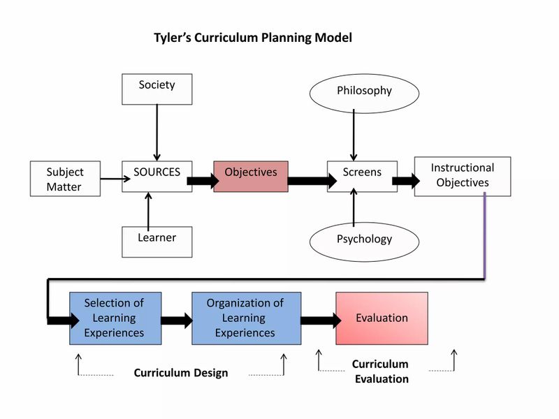 [NAYEEHAH ] The Tyler’s model Indicates that in order to identify the ...
