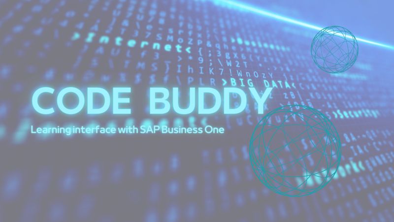 Code Buddy: Interface SAP B1