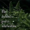 พุทธอุทยานบุญญพลัง