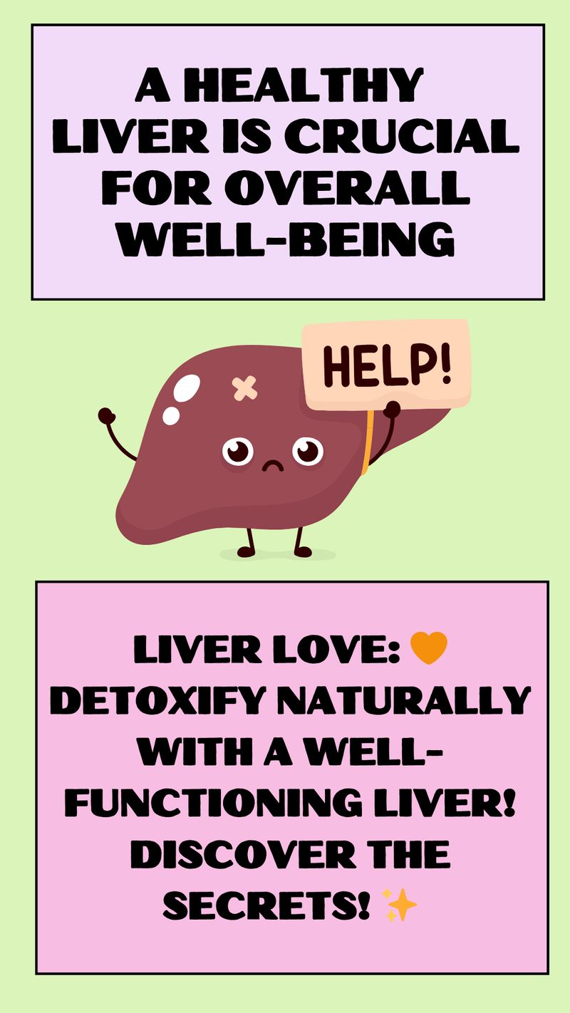 WellnessExplorer Hub Optimizing Liver Health For A Vibrant Life In wellnessexplorer-hub-optimizing-liver-health-for-a-vibrant-life-in