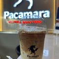 Pacamara Coffee @ Little Walk Bangna