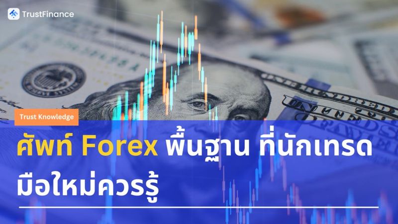 ศัพท์ Forex พื้นฐาน ที่นักเทรดมือใหม่ควรรู้ - Blog - TrustFinance