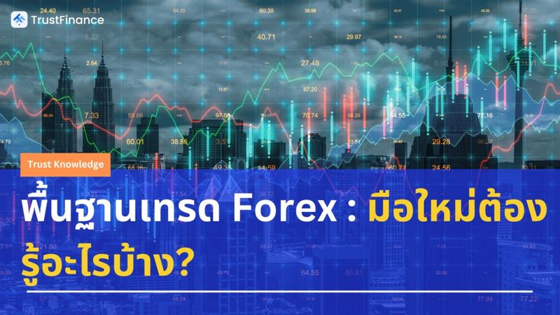 พื้นฐานเทรด Forex : มือใหม่ต้องรู้อะไรบ้าง? - Blog - TrustFinance