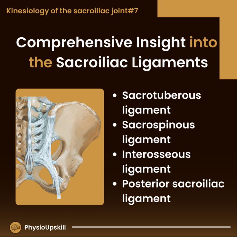 [Physioupskill] ## Episode62: Kinesiology of Sacroiliac joint#7 ...