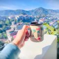 Solan