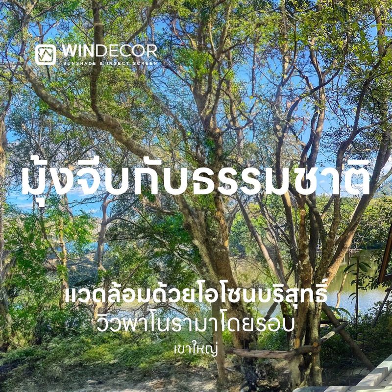 WINDECOR - มุ้งจีบ เชื่อมความเป็นธรรมชาติ สู่ความสุขในบ้าน...