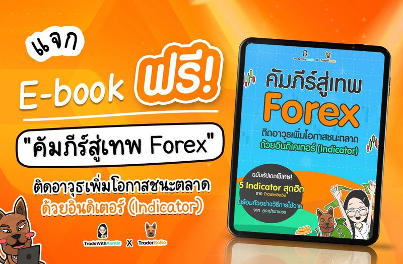 หนังสือ Forex PDF ฟรี! สอนใช้อินดิเคเตอร์ Forex ขั้นเทพ - สาระน่ารู้