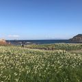 Tsumekizaki Natural Park