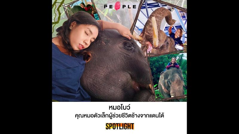 ‘หมอโบว์’ ผู้อนุรักษ์ช้าง เสี่ยงชีวิตและดูแลช้างให้มีสุขภาพดี