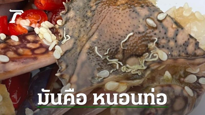 อ.เจษฎ์ ช่วยไขข้อสงสัย เส้นขาวๆ คล้าย ”หนอน” บนกระดองปู คือตัวอะไร