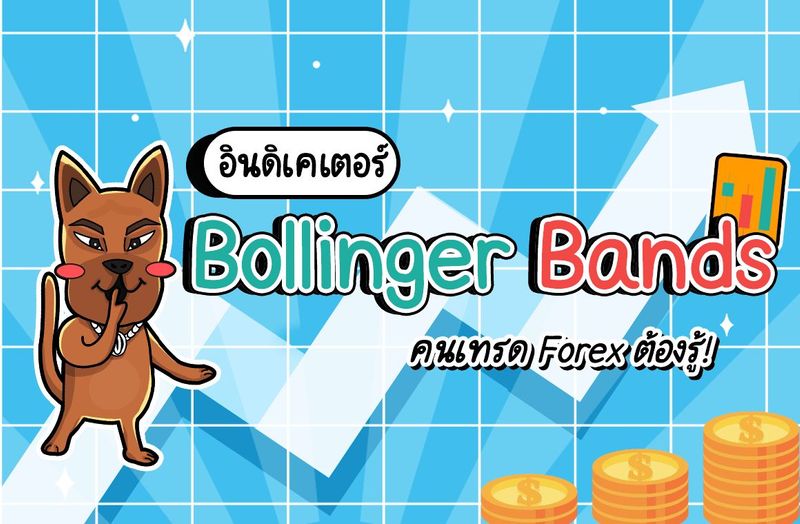 Bollinger Band (BB) คืออะไร ? Indicator ใช้ง่าย แต่ประโยชน์มาก - สาระน่ารู้