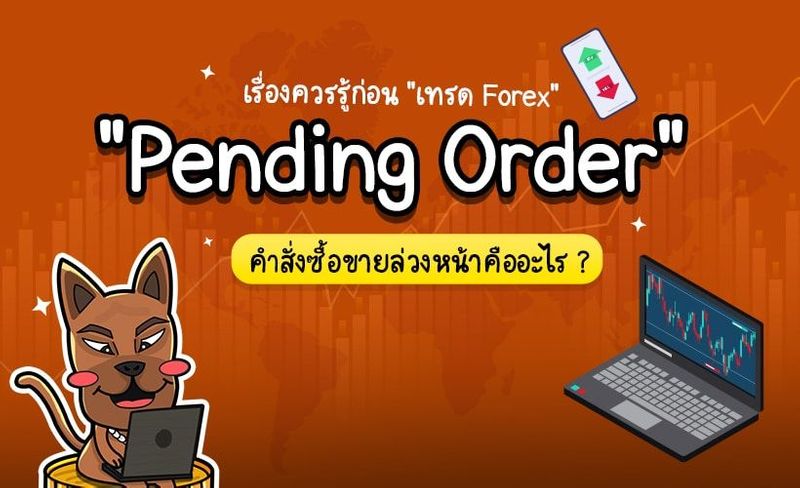Pending Order คืออะไร? ใช้ยังไง? เทรด Forex ห้ามพลาด - สาระน่ารู้