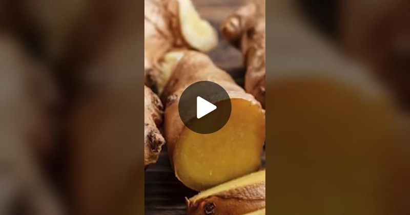 TikTok · Mae-ying Organic