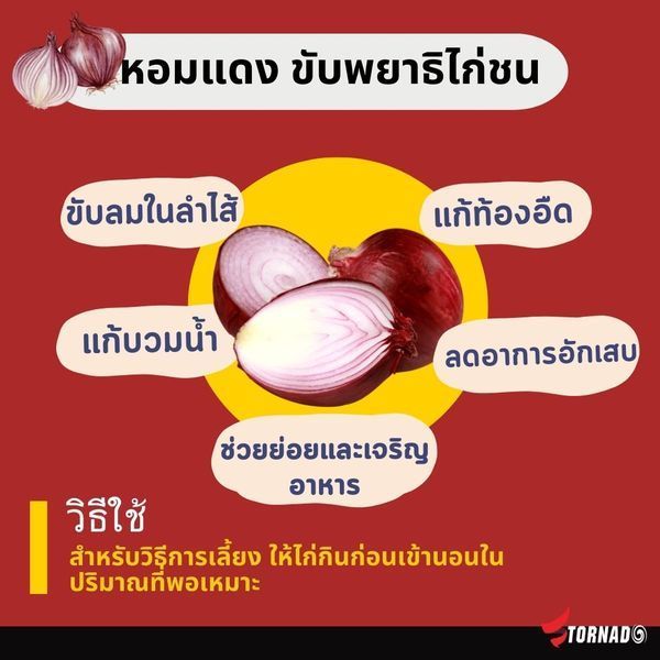 Tornado อาหารเสริมบำรุงไก่ชน