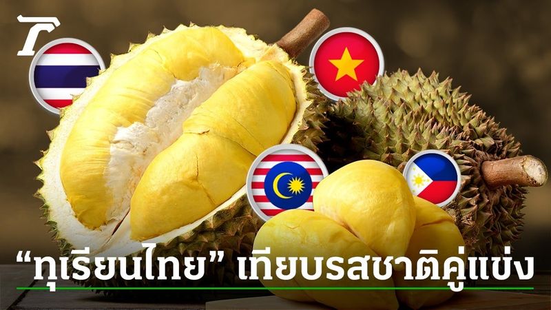 “ทุเรียนไทย” เทียบรสชาติคู่แข่ง โอกาสเสียแชมป์ตลาดจีน
