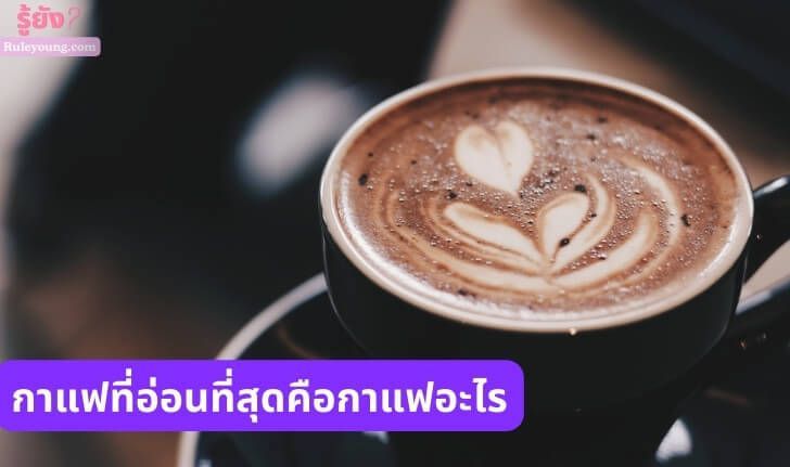กาแฟที่อ่อนที่สุดคือกาแฟอะไร - ruleyoung