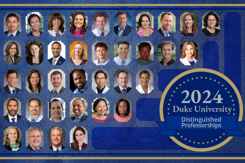 distinguished-professorship-2024