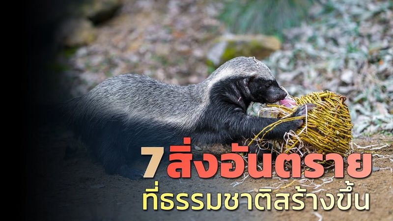 7 สิ่งอันตรายที่ธรรมชาติสร้างขึ้น