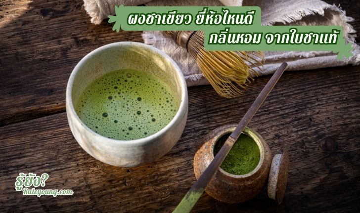 10 ผงชาเขียว ยี่ห้อไหนดี เข้มข้น กลิ่นหอม จากใบชาเเท้ - ruleyoung