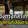 วังตรอกสเก