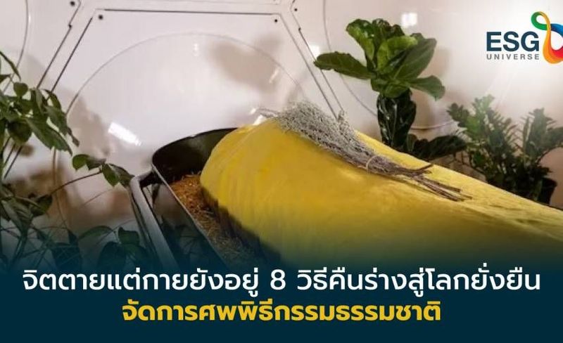 ตายแล้ว(ร่าง)ไปไหน? 8 วิธีกำจัดร่างไร้วิญญาณแบบยั่งยืน ทั่วโลกทำอย่างไร