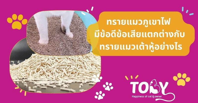 ทรายแมวภูเขาไฟ มีข้อดีข้อเสียแตกต่างกับ ทรายแมวเต้าหู้อย่างไร - ทรายแมวโทบี้