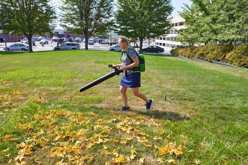 [Leaf Vacuum Mulcher] Best Way to Clean up Leaves from a Large Yard