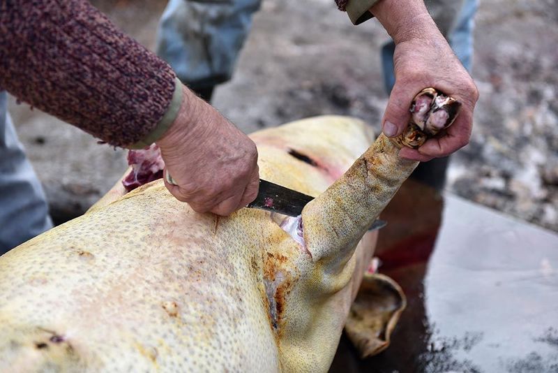 มิจฉาวณิชชา 5 อาชีพที่พระพุทธเจ้าห้าม ทำแล้วสร้างบาปติดตัว - Invivo Environnement