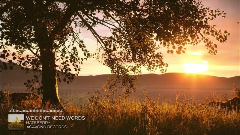 HateBerry - We Don’t Need Words