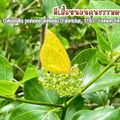 อุทยานแห่งชาติหมู่เกาะระนอง