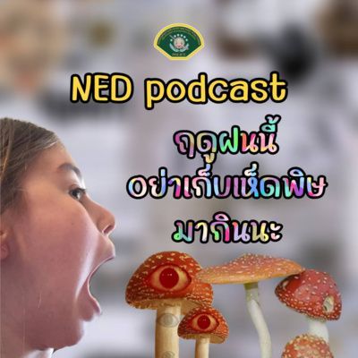 NED podcast l ฤดูฝนนี้ อย่าเก็บ