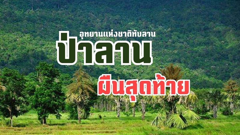 ที่สุด Ep.24 อุทยานแห่งชาติทับลาน “ป่าลานผืนสุดท้ายของประเทศไทย”