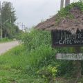 Minute beach cafe