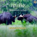 เขตรักษาพันธุ์สัตว์ป่าดงใหญ่