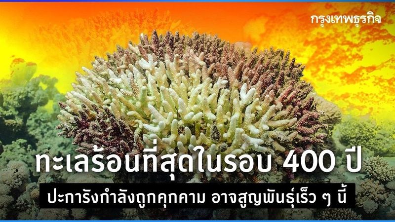 ทะเลเดือดที่สุดในรอบ 400 ปี โลกร้อนคุกคาม ‘ปะการัง’ อาจสูญพันธุ์เร็วๆ นี้