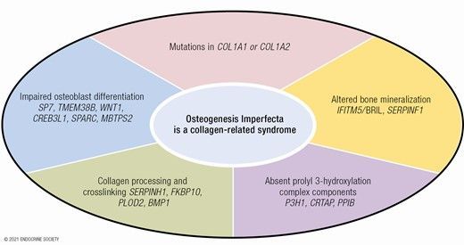 Osteogenesis Imperfecta: Mechanisms and Signaling Pathways Connecting Classical and Rare OI Types
