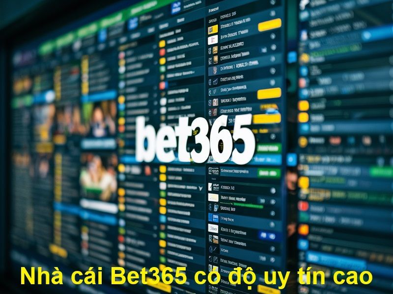 Nhà Cái Bet365 – Link Vào Bet365 Mới Nhất Không Bị Chặn