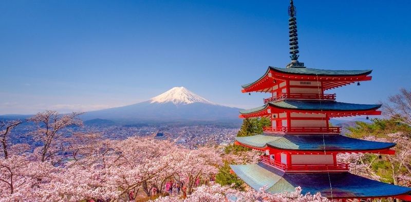 ทำความรู้จักที่ฉีดชำระอัตโนมัติ ก้านฉีดชำระอัตโนมัติ