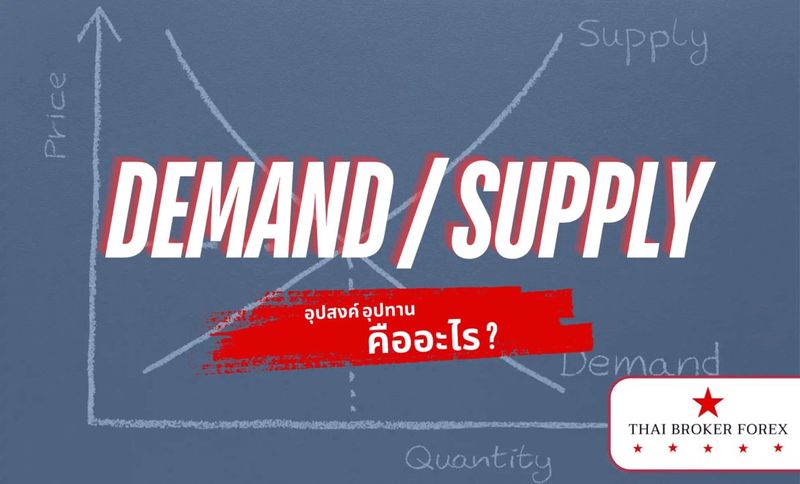 Demand & Supply คืออะไร สิ่งพื้นฐานของการลงทุน ทุกประเภท