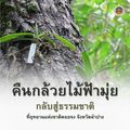 อุทยานแห่งชาติดอยจง