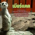 Aquaria Phuket