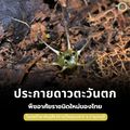 เขตรักษาพันธุ์สัตว์ป่าทุ่งใหญ่นเรศวร