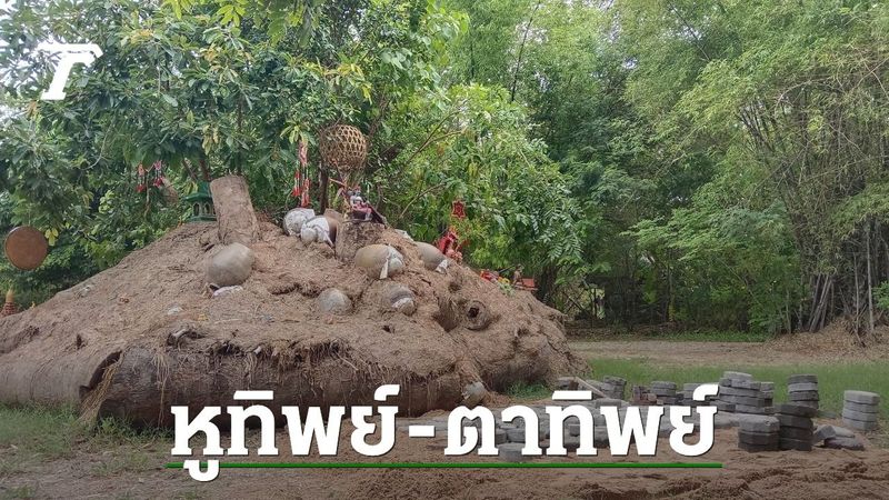 ร้องตรวจสอบ “ลัทธิประหลาด” สำนักสงฆ์ฝึกเด็ก-ผู้ปฏิบัติธรรมเรียนหูทิพย์-ตาทิพย์