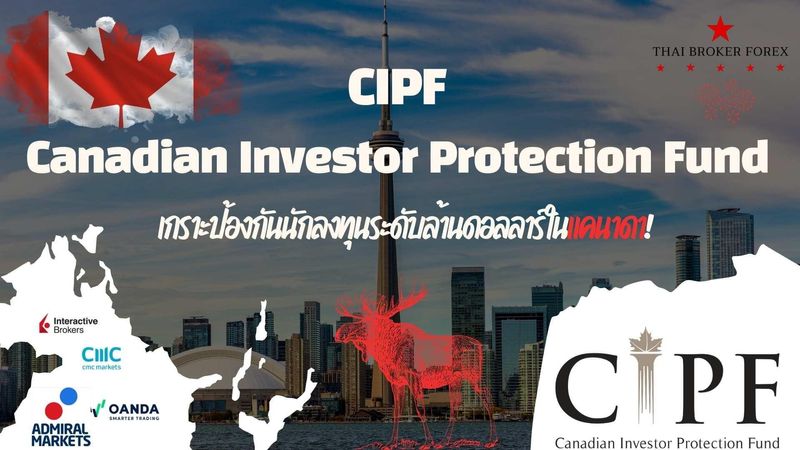 [Alisa Forex Investment] 🌟 CIPF: เกราะป้องกันนักลงทุนระดับโลก 🌟 CIPF ...