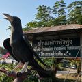 กลุ่มแม่บ้านหัวทุ่ง หมู่ 12