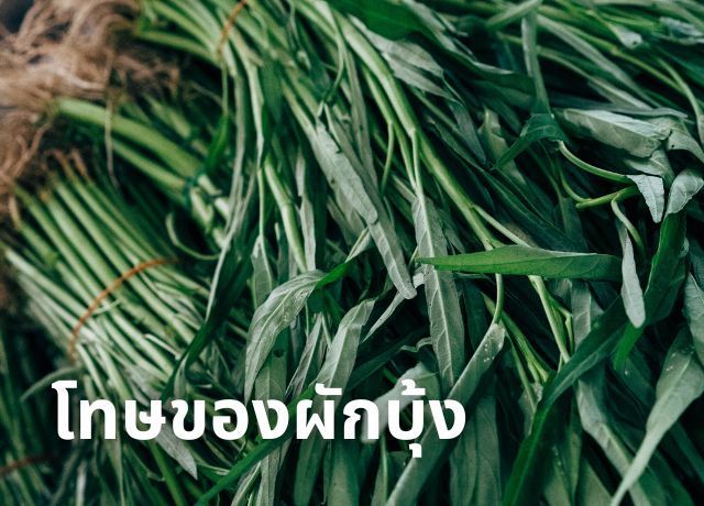 ผักบุ้ง: ประโยชน์มากมาย แต่ก็มีโทษที่ควรรู้