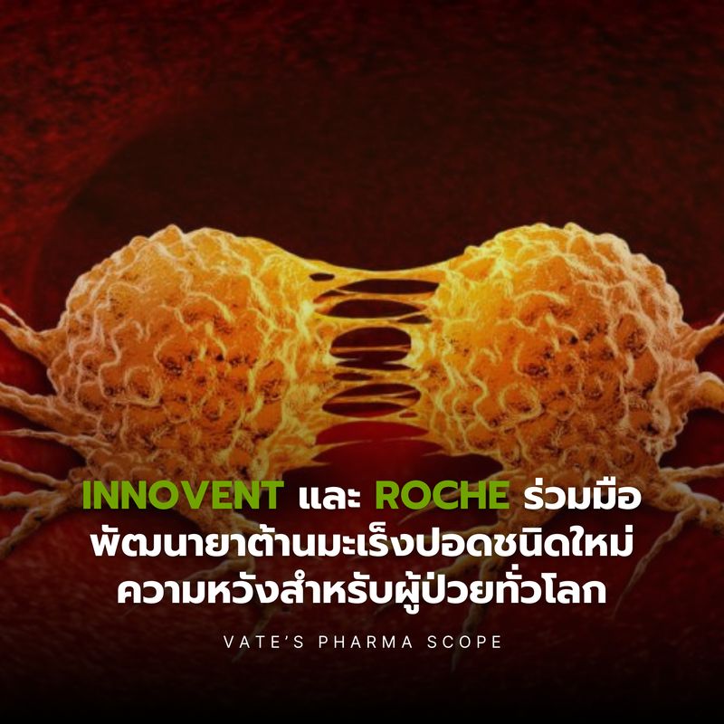[Vate's Pharma Scope] Innovent และ Roche ร่วมมือพัฒนายาต้านมะเร็งปอด ...