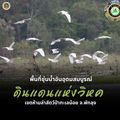 เขตห้ามล่าสัตว์ป่าทะเลน้อย